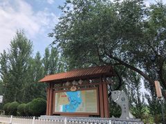 -白洋淀景区