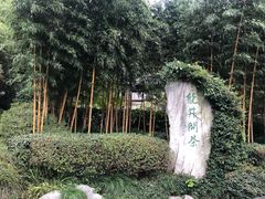 -十八棵（老龙井）御茶园(老龙井店)