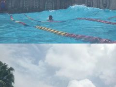 -重庆海昌加勒比海水世界
