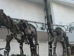 -天津自然博物馆