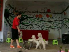 -南戴河国际娱乐中心