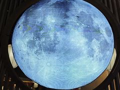 -鲁菜根·泰安菜(万达店)