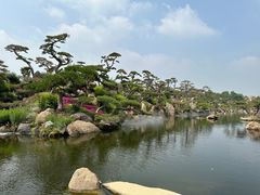 -罗红摄影艺术馆