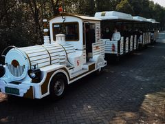 -上海海湾国家森林公园