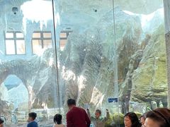 -帝企鹅自助餐厅•儿童岛•真企鹅(长隆企鹅酒店)