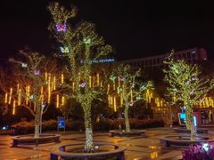 -处州公园