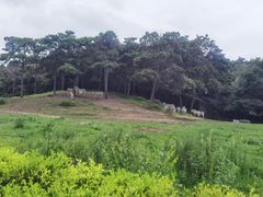 -沈阳森林动物园