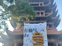 -黄鹤楼公园(黄鹤楼)