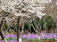 -白塘生态植物园