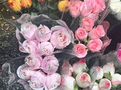 -循礼门鲜花花市(武汉循礼门店)