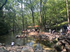 -牛背梁国家森林公园