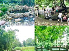 -成都市活水公园
