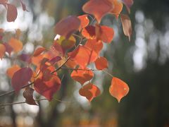 -艾山风景名胜区