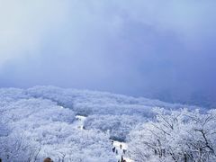 -安吉龙王山风景区