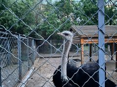 -长白岛森林公园