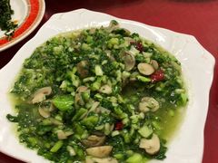 -张桥杨记羊肉饭店