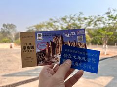 -元谋土林景区(物茂土林)