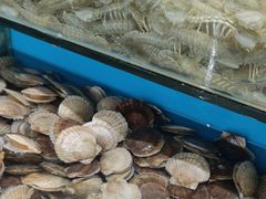 -港畔赶海蒸汽海鲜烧烤自助(仙螺岛店)