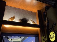 -骑士KTV(红谷滩万达店)