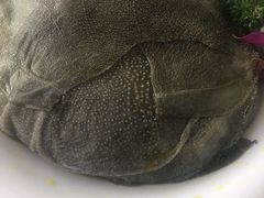 -二荆条·蜀鲜汇城市森林火锅