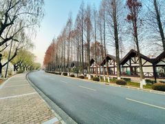 -太阳岛度假酒店