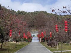 -广州市帽峰山景区