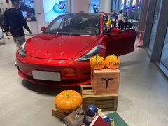 -TESLA 特斯拉(广州天环广场体验店)