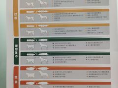 -伟伟宠物医院·瑞派猫友好医院·猫科(光谷店)