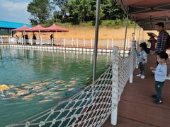 -广州市流溪河国家森林公园