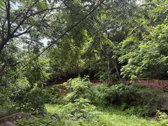 -大岭沟猕猴桃谷风景区
