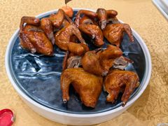 -大鸽饭(马王堆店)