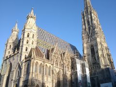 -斯蒂芬主教座堂(Stephansdom)