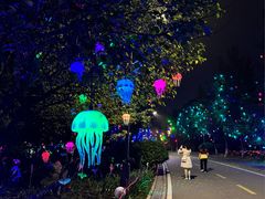 -洋湖国家湿地公园