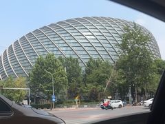 -凤凰中心