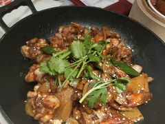 -南枝记