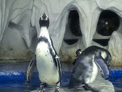 -太平洋海底世界