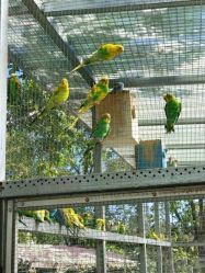 -萌宠亲子动物乐园(槐房万达店)