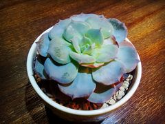 -看书吧(体育东横路店)