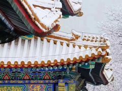 -故宫博物院(故宫)