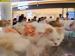 -凯德广场(金牛店)
