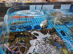 -舟山海鲜·江浙菜(银沙路店)