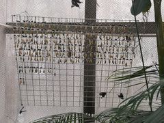 -上海大自然野生昆虫馆