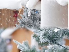 -南宁市凤岭儿童公园