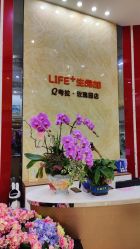 -生命加•Q考拉月子会所(玫瑰园店)