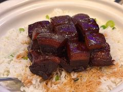 红烧肉焖饭-新白鹿餐厅(百联中环店)
