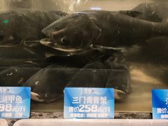 -上名堂·鱼头好吃(体育场路店)