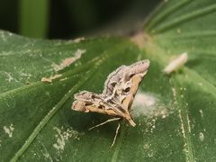 -白石龙音乐公园