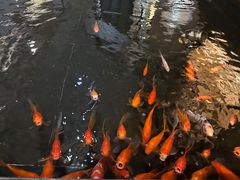 -品粹徽园·家常安徽菜
