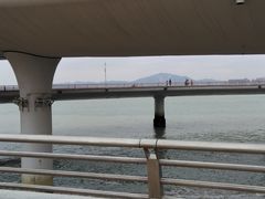 -演武大桥观景平台