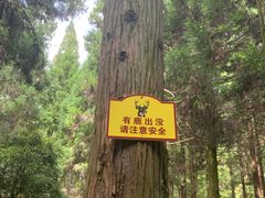 -上海怡沁园度假酒店